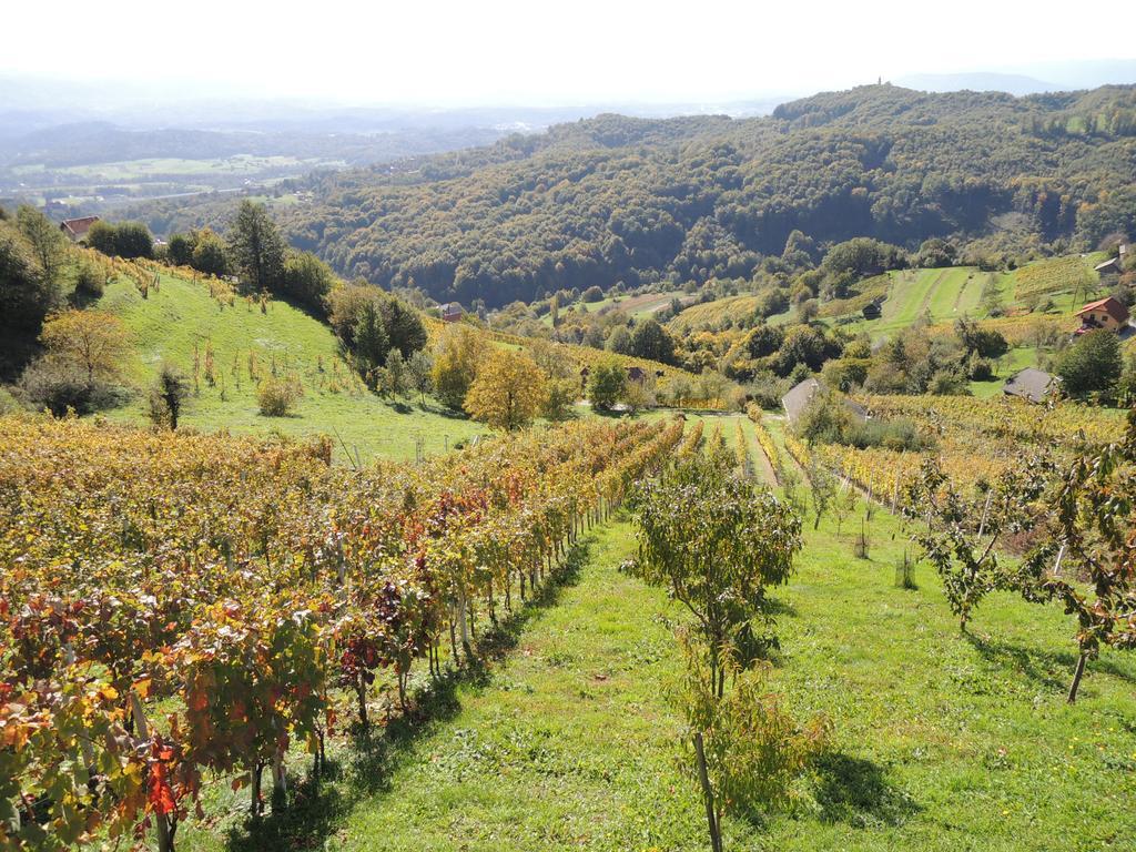 Vineyard Cottage Janko & Metka Otočec المظهر الخارجي الصورة